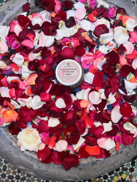 Natural Organic Deodorant Balm -Sensitive - skincare - Back2dRoots