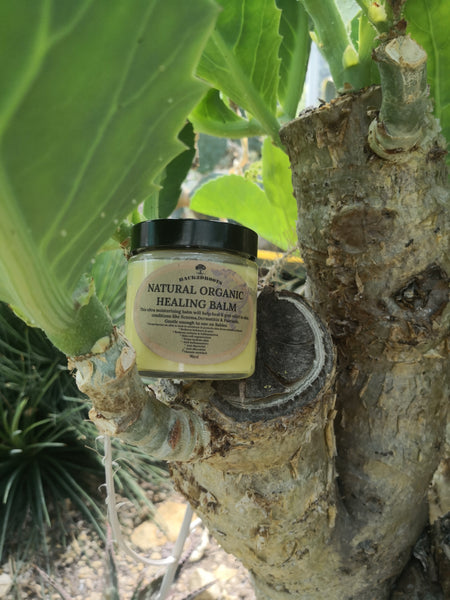 Organic Healing Balm - skincare - Back2dRoots 