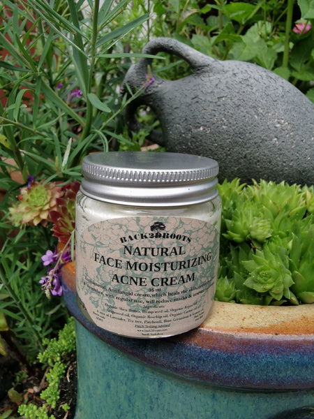 Natural Organic Acne Face Cream